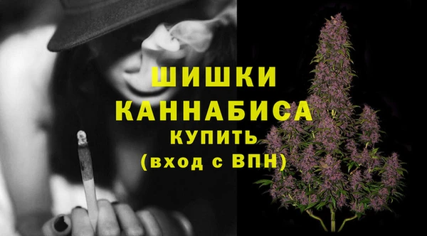 стафф Лабытнанги