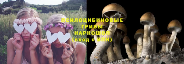 СК Ладушкин