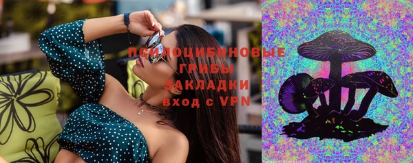 СК Ладушкин