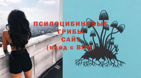 стафф Лабытнанги