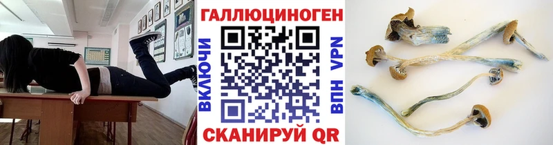Псилоцибиновые грибы мицелий  это Telegram  Курильск 